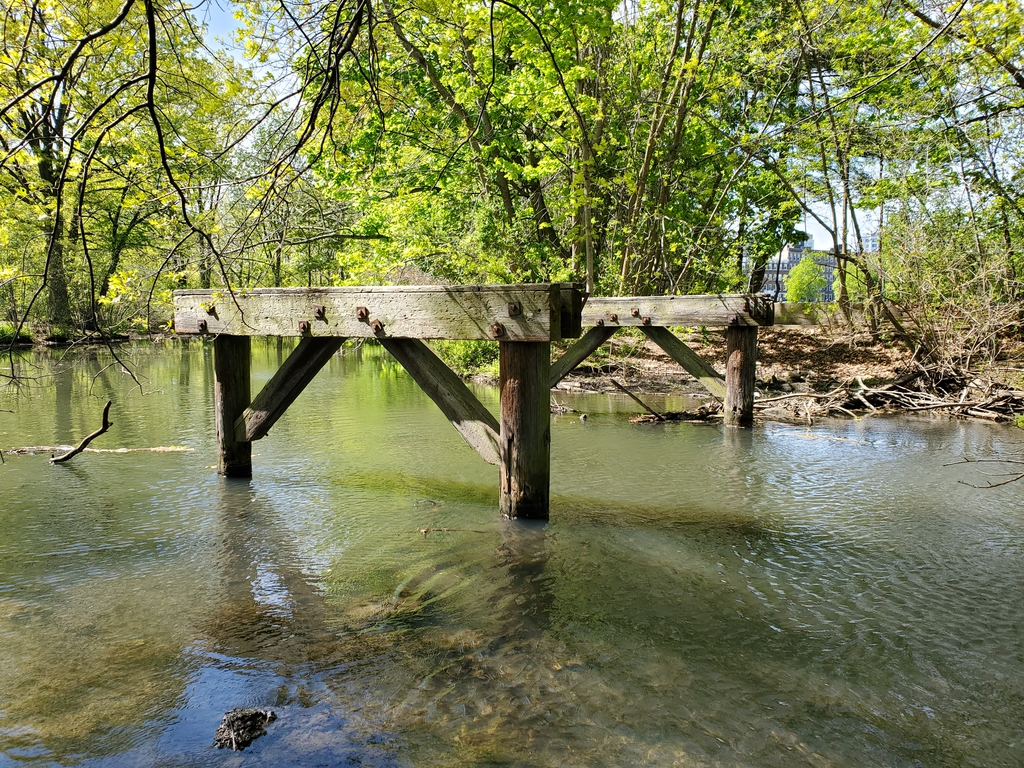 Taken from the Fenway side of the river \<small>© 2020 Nick Aldwin\</small>